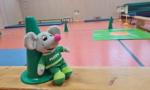 Trainingsgruppe Minis Bild 1