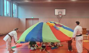 Trainingsgruppe Minis Bild 2