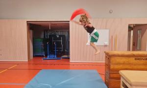 Trainingsgruppe Minis Bild 3