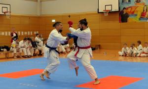 GJKF-Goju-Kai Meisterschaft Bild 3