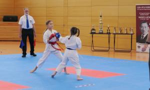 GJKF-Goju-Kai Meisterschaft Bild 4