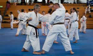 Tag des Sächsischen Karateka 2026 Bild 7