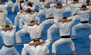 Tag des Sächsischen Karateka 2026 Bild 9